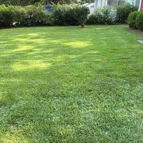 yard maintenance by Ramirez lanscaping inc reviewed on August 19, 2025