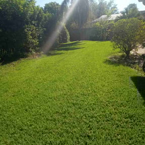 grass maintenance by Cardos Services LLC reviewed on August 20, 2025