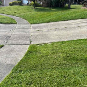 yard care by Mmr grass cutters reviewed on August 19, 2025