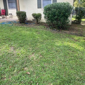 Bush Trimming by Miramontes Landscaping reviewed on August 16, 2025