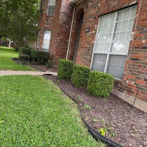 Bush Trimming by Northwest Georgia Outdoor Services reviewed on June 5, 2026