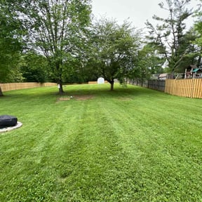 turf care by Alexito Landscaping reviewed on August 18, 2025