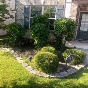 Bush Trimming by Peniel Landscape reviewed on July 7, 2026