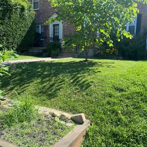 landscaping by JBS inc reviewed on August 17, 2025