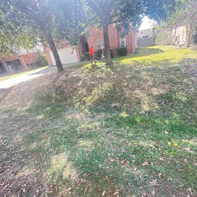 Leaf Removal by lawnstarter reviewed on August 24, 2026