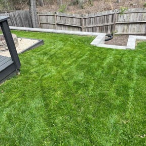 yard care by Vincent Landscaping Corp reviewed on December 24, 2025