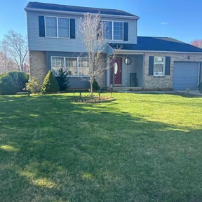 yard maintenance by Jeri Cleaning Services reviewed on August 18, 2025
