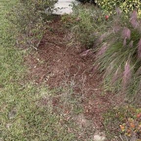 Flower Bed Weeding by JALER LLC reviewed on November 7, 2025