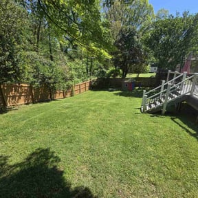 yard care by Devinelandscaping llc reviewed on August 18, 2025