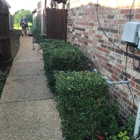 Bush Trimming by Just Handy reviewed on August 18, 2025