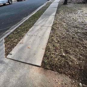 Leaf Removal by Nickel Pickle Landscapes reviewed on January 19, 2026