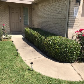 Bush Trimming by Clean The Green Lawncare reviewed on August 16, 2025