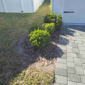Flower Bed Weeding by Loco’s Lawn Care and Home Repair reviewed on August 18, 2025
