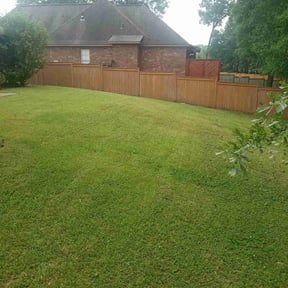 turf maintenance by Salvador Lawn and Tree Service reviewed on May 2, 2024