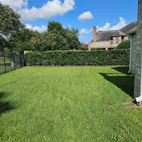 Flower Bed Weeding by gutter boyz llc reviewed on July 9, 2026