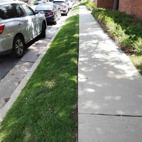 landscaping services by Hands On Grounds Maintenance & Development reviewed on August 19, 2025