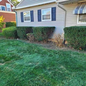 Bush Trimming by Guerrero&#039;s Landscaping reviewed on October 21, 2025