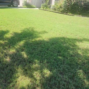 landscaping services by Loop's Landscaping reviewed on February 12, 2026