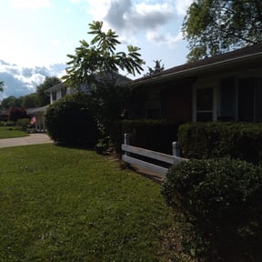 Bush Trimming by Vidco landscaping reviewed on August 18, 2025