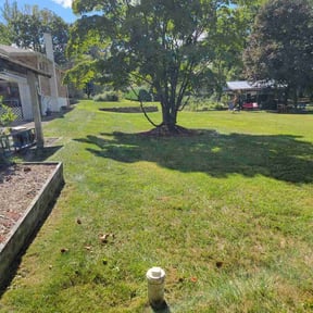 yard care by Gibson Lawn Care reviewed on August 20, 2025