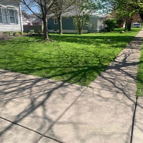 yard care by Burton Lawn Care reviewed on August 13, 2025