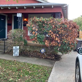 Bush Trimming by Gonzalez Landscaping reviewed on August 16, 2025