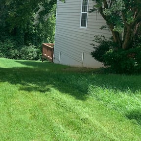 Bush Trimming by Jeff's Lawn service reviewed on August 20, 2025