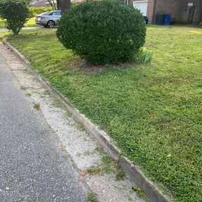 Bush Trimming by C&L landscaping reviewed on August 21, 2025