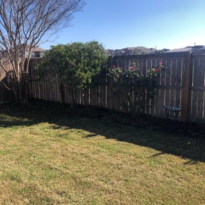 Bush Trimming by Armstrong's Lawn Care Plus reviewed on August 20, 2025