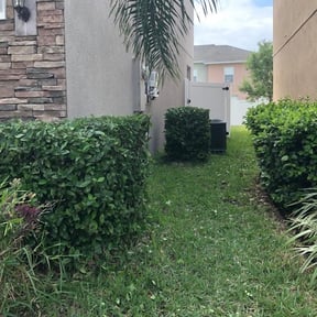 Bush Trimming by George's Lawn Care reviewed on August 20, 2025