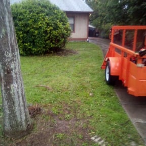 Bush Trimming by Gauer landscaping llc reviewed on August 18, 2025