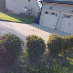 Bush Trimming by Re Image lawn care reviewed on August 19, 2025