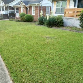 yard work by Luxury Lawn's of Chattanooga reviewed on August 19, 2025