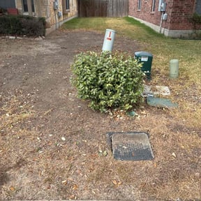 turf care by Heart of 4 reviewed on August 16, 2025