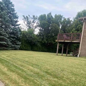 residential landscaping by Complete Lawn Care reviewed on August 15, 2025