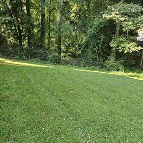 landscaping by Happy Days Lawn Service reviewed on August 20, 2025