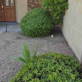 Bush Trimming by Premier Property Solutions reviewed on August 25, 2026