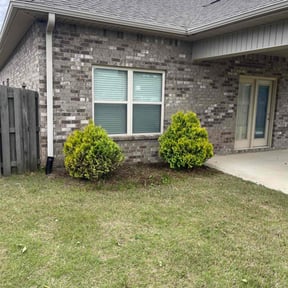 Flower Bed Weeding by B&M Paradise services LLC reviewed on August 21, 2025