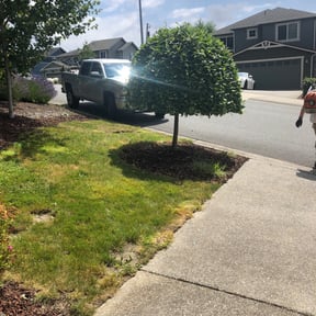Bush Trimming by Land Decor Inc. reviewed on August 17, 2025