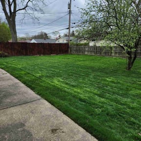 landscape maintenance by Hustle Lawn Care reviewed on August 16, 2025