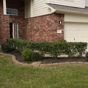 Bush Trimming by Caldwell Lawn Care reviewed on August 18, 2025