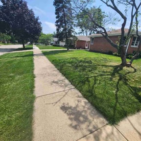 landscaping services by DMD LAWN RESCUE reviewed on August 19, 2025