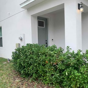 Bush Trimming by Gio Landscaping reviewed on November 22, 2025