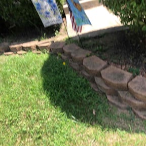 Bush Trimming by Solo Lawns reviewed on September 17, 2023