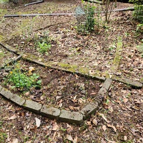Flower Bed Weeding by WA transport & towing LLC reviewed on August 19, 2025