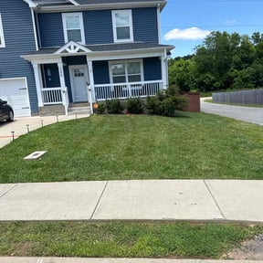 yard care by Punchy's Lawn Service reviewed on August 20, 2025