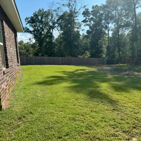 yard service by Central TX Services reviewed on August 19, 2025