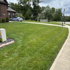 yard care by Milos lawncare and landscaping reviewed on August 20, 2025