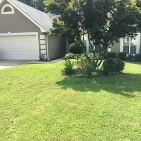 Bush Trimming by Helping Hands Lawncare Service reviewed on August 17, 2025