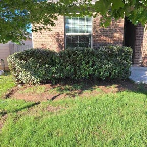 Bush Trimming by Otero's lawnmower reviewed on May 4, 2026